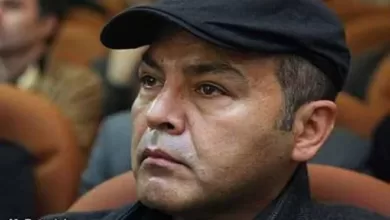 فریبرز عرب نیا بازیگر ایرانی که مدتی است به هماره پسرش در کانادا زندگی می کند قبل از ازدواج با عسل بدیعی با آتنه فقیه نصیری ازدواج کرده بود.