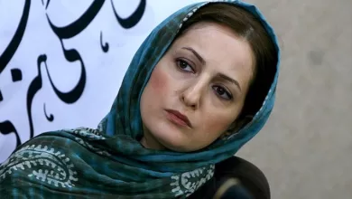 دادستانی تهران علیه شقایق دهقان اعلام جرم کرد