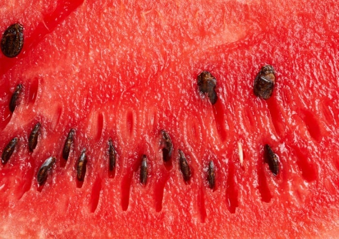 هسته این میوه ها را بخورید