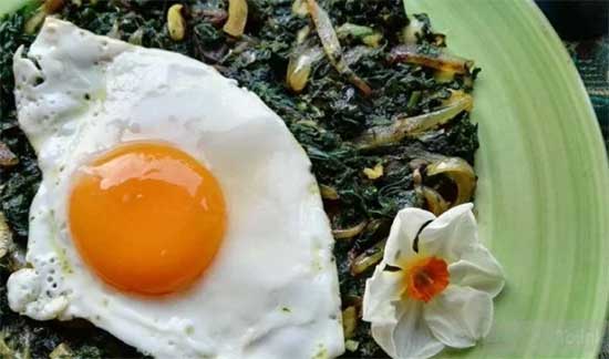 لیست غذا‌های لذیذ و خوشمزه؛ در یک چشم به هم زدن