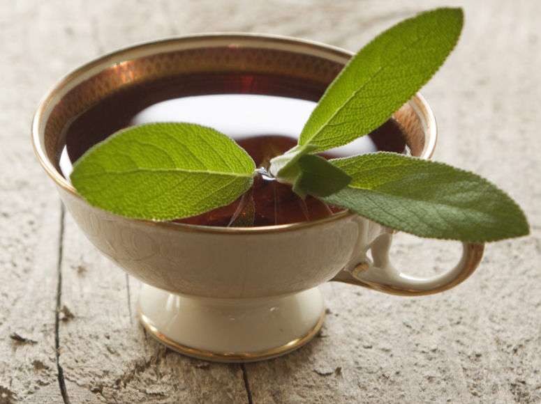 چای مریم گلی