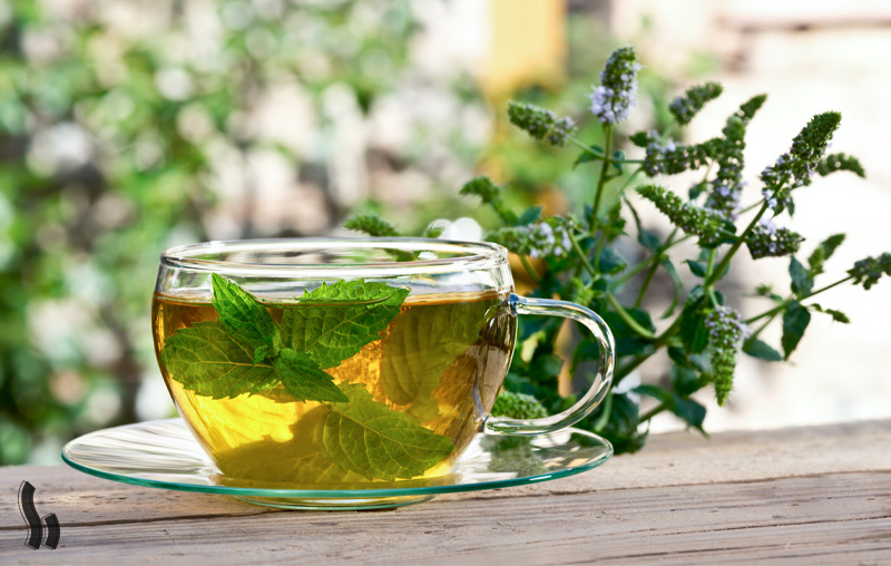 چای نعناع