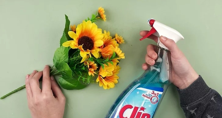شیشه پاک کن