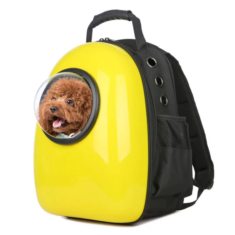 کیف حمل