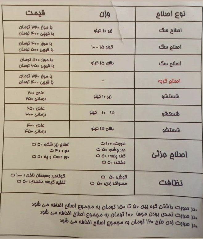 عکسی از قیمت اصلاح موی سگ که برایتان قابل هضم نیست