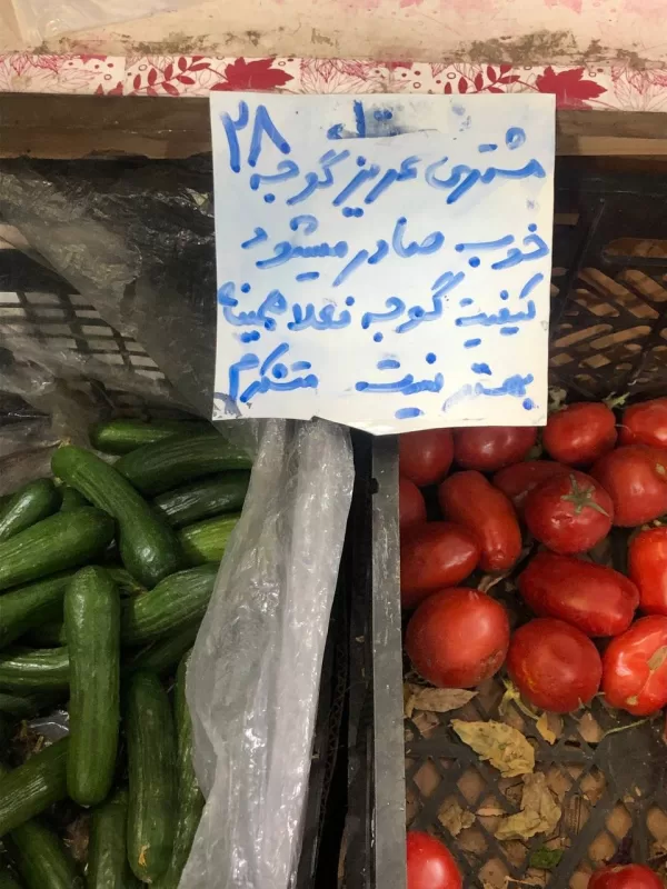 قیمت گوجه فرنگی سر به فلک کشید