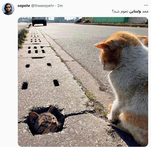شوخیهای جالب کاربران با روز ولنتاین شوخیهای جالب کاربران با روز ولنتاین